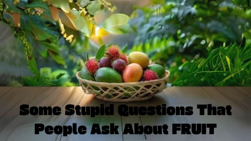 Some Stupid Questions That People Ask About FRUIT