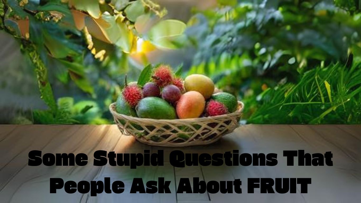 Some Stupid Questions That People Ask About FRUIT