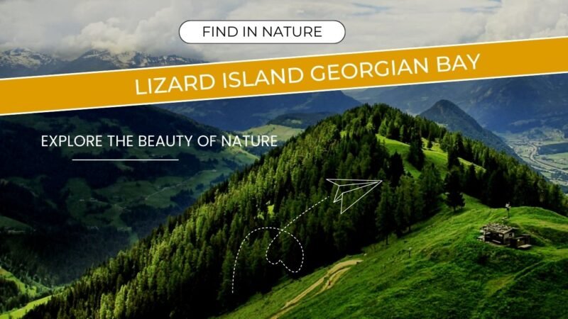 Lizard Island Georgian Bay: A Hidden Gem